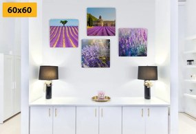Set obrazov levanduľové bohatstvo - 4x 40x40