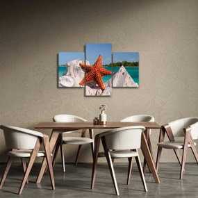 Obraz morskej hviezdice (90x60 cm)