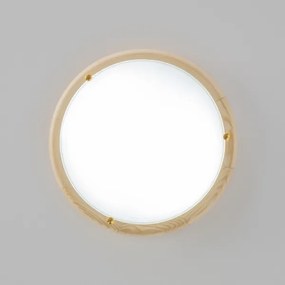 Rabalux 5421 - Stropné svietidlo UFO 2xE27/60W/230V