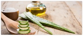 Obraz - Aloe vera (120x50 cm)