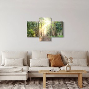 Obraz cestičky v lese (90x60 cm)