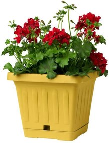 BAMA Kvetináč TERRA 20 x 20 cm, žltá