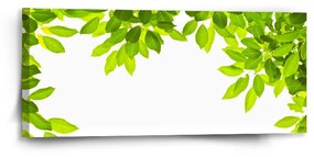 Sablio Obraz Listy - 110x50 cm