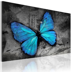 Artgeist Obraz - The study of butterfly Veľkosť: 90x60, Verzia: Premium Print