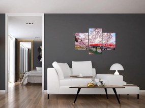 Obraz - Hirosaki, Japonsko (90x60 cm)