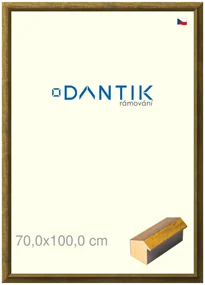 DANTIK rám na obraz 70x100 | Forgia Gold (Plexi Čiré)