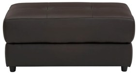 Hnedá podnožka Capena – Støraa