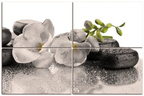 Obraz na plátne - Lávové kamene a  kvety 163FD (150x100 cm)