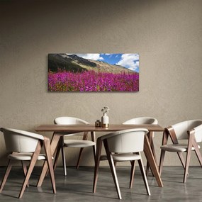 Obraz scenérie horské lúky (120x50 cm)