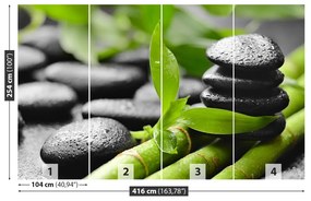 Fototapeta Vliesová Bambusové kamene 250x104 cm