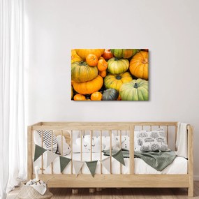 Obraz - Jesenná tekvica (90x60 cm)