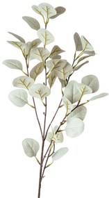 XXXLutz DEKORAČNÁ VETVIČKA eukalyptus 73 cm - Kvetinové dekorácie - 006860023702