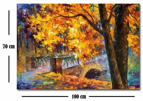 Obraz LEONED 70x100 cm viacfarebný