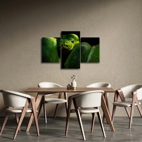 Obraz - Zelený had (90x60 cm)