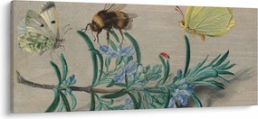 Obraz - Jan van Kessel the Elder, Insects and a Sprig of Rosemary, reprodukcia (120x50 cm)
