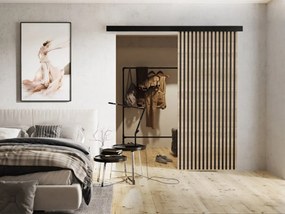 Interiérové posuvné dvere Boxdis 80, Farba:: Grafit antracit/Čierna