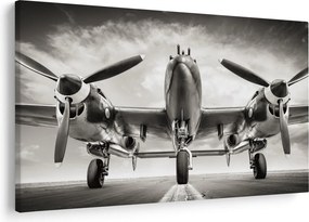 Obraz - Warbird (90x60 cm)