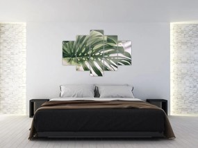Obraz - List monštier (150x105 cm)