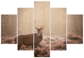 Obraz - Jeleň v lese (150x105 cm)