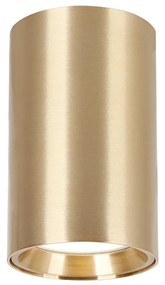 Stropné svietidlo Genesis, 1x zlaté kovové tienidlo, (10 cm)