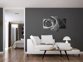 Obraz - Abstraktné ruže čiernobiela (90x60 cm)