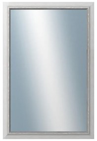 DANTIK - Zrkadlo v rámu, rozmer s rámom 40x60 cm z lišty RIVIERA AG (3101)