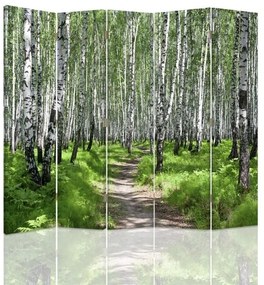 Ozdobný paraván Příroda březového lesa - 180x170 cm, päťdielny, obojstranný paraván 360°