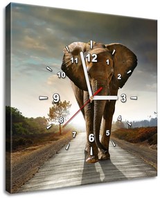 Gario Obraz s hodinami Osamelý silný slon Rozmery: 40 x 40 cm