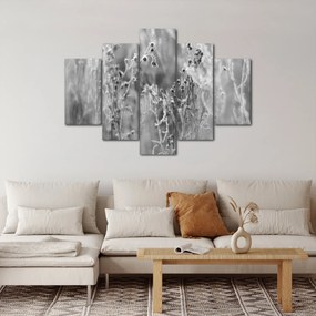 Obraz - Divoká lúka (150x105 cm)