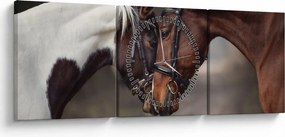 Obraz - Zamilované kone (s hodinami) (90x30 cm)