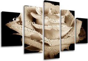 Obraz na stenu 5 dielny KVETY XOBKV109E50 - 150x100 cm