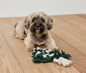 Ňuchacia hračka pre zvieratá