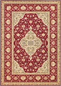 Koberec Agnella Standard Diktum Bordo