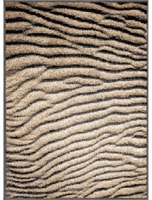 Hnedý koberec 160x220 cm Avanti – FD