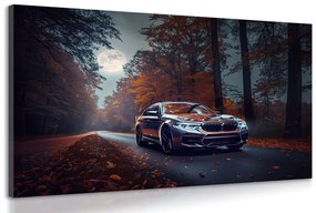 Obraz BMW v splne mesiaca