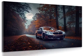 Obraz BMW v splne mesiaca