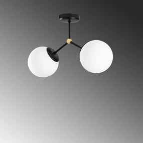 Damar - 6331