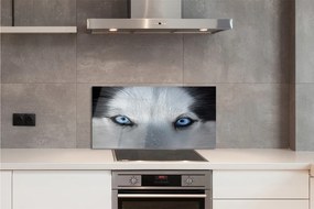 Nástenný panel  wolf Eyes 120x60 cm