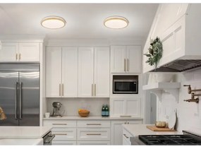 LED Stropné svietidlo GANDAVA LED/24W/230V