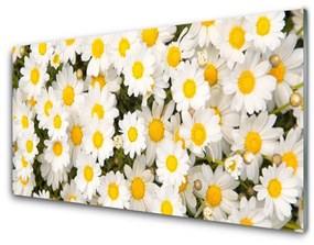 Sklenený obklad Do kuchyne Sedmokrásky kvety 100x50 cm