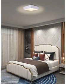 Immax NEO 07238L - LED Stmievateľné stropné svietidlo CANTO 22W/230V biela Tuya +DO