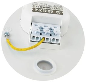 LED Stropné svietidlo SAMER LED/40W/230V 4000K