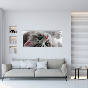 Obraz - Mačka so zelenými očami (120x50 cm)