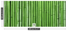 Fototapeta Vliesová Bambusová zelená 152x104 cm