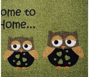 Vnútorná rohožka Owl Creation zelená 50 x 70 cm