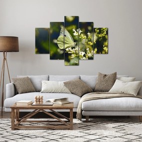 Obraz motýľa (150x105 cm)