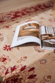 Koberec Antique 24441 53555