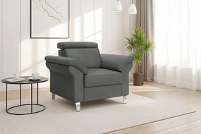 XXXLutz KRESLO, koža, antracitová Sit & More - Online Only obývacie izby - 00014404093F
