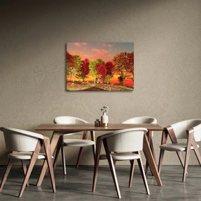 Obraz - Farebné stromy (70x50 cm)