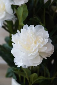 Umelá pivonka v krémovom kvetináči PEONY, výška 70 cm, biela